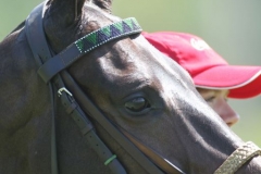 Beaded-Browband-Design-A-013