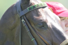 Beaded-Browband-Design-A-015