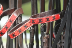 Beaded-Browband-Design-D-009