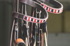 Beaded-Browband-Design-G-007