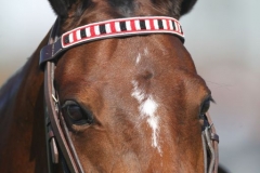 Beaded-Browband-Design-G-008