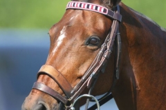 Beaded-Browband-Design-G-009