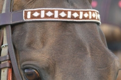 Beaded-Browband-Design-I-009