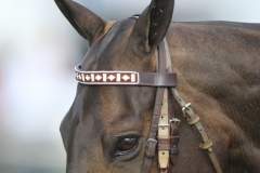 Beaded-Browband-Design-I-012