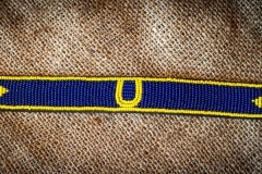 Custom Brow Bands 034