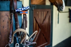 Custom Brow Bands 040