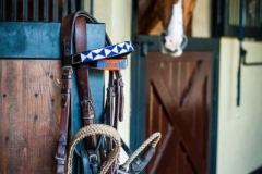 Custom Brow Bands 041