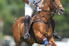 polo-players-26