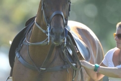 Masai-Beaded-Gear-001