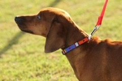 Masai-Beaded-Gear-004