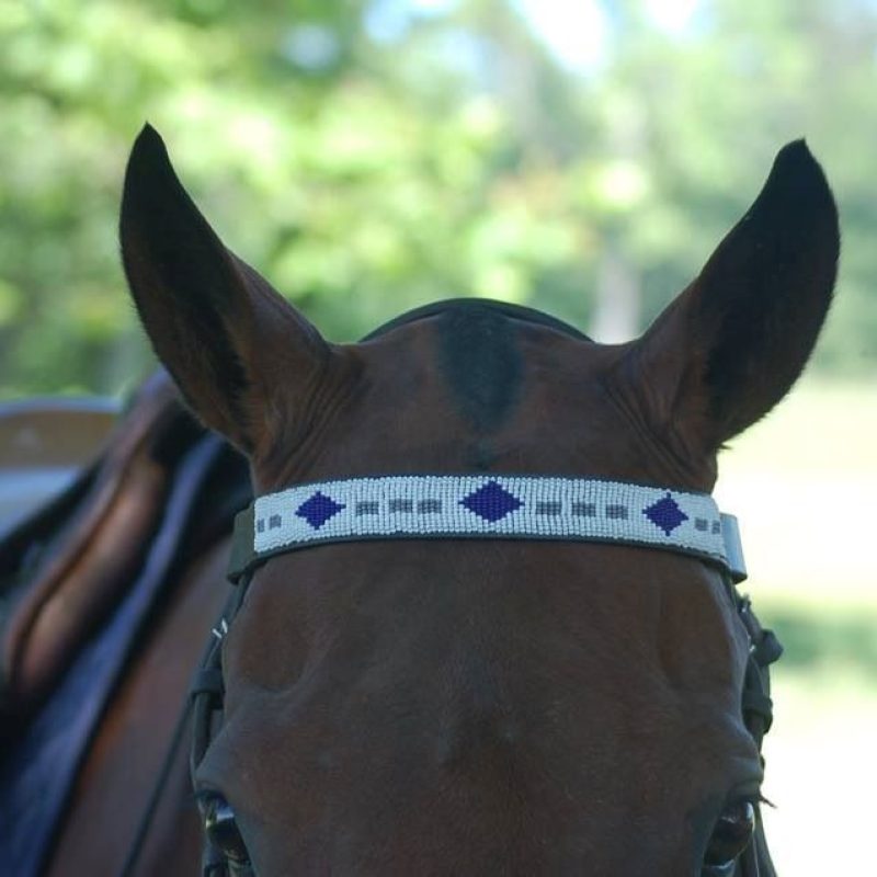 Custom-Brow-Bands-042