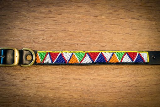 Dog Collar Design A