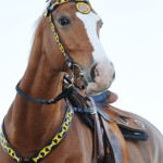 Beaded Bridle With Breast Collar A