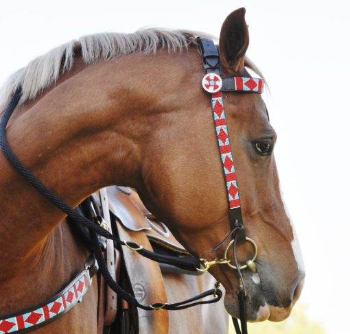 Beaded Bridle With Breast Collar B