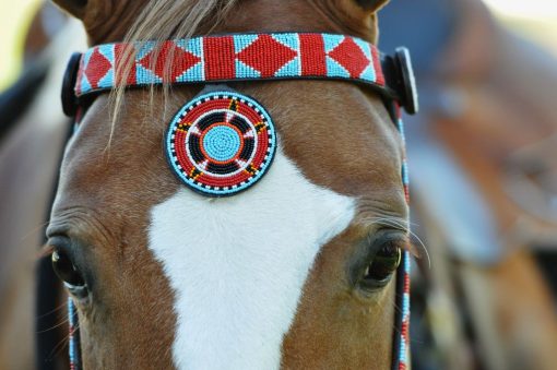 Beaded Bridle With Breast Collar B - Image 2