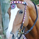 Beaded Bridle With Breast Collar C