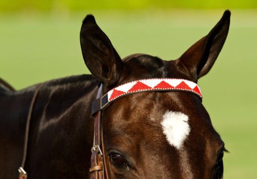 Browband Design A - Image 2