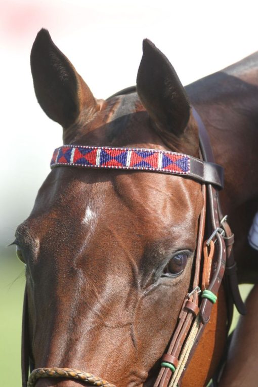 Browband Design C - Stock - Image 4