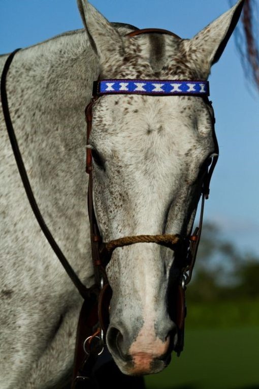 Browband Design D - Image 2