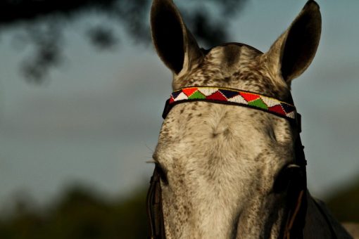 Browband Design O – Stock - Image 2